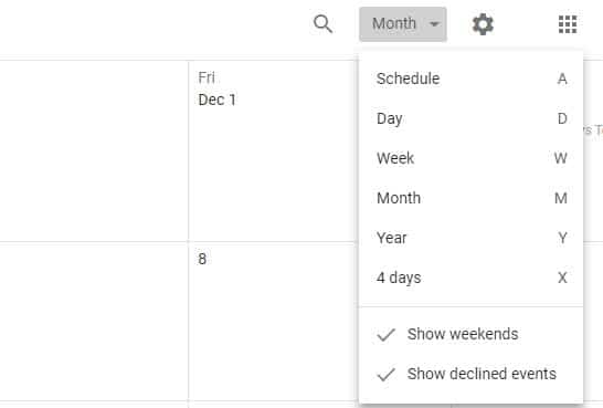 Google Calendar View