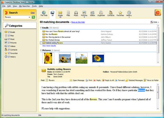 Windows Desktop Search Software, Windows, Search Software