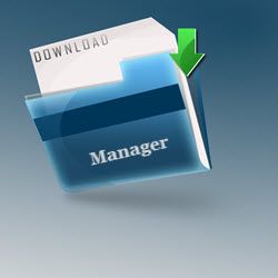 Download Manager for Windows