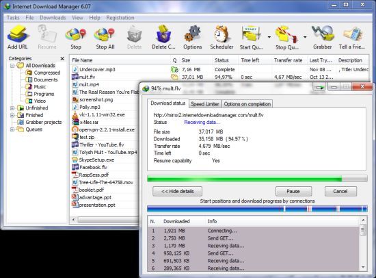 Internet Download Manager