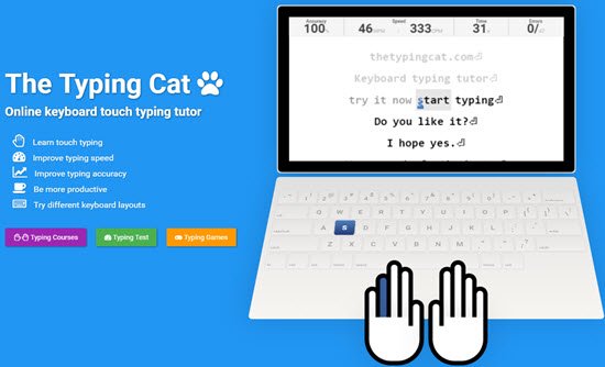 The Typing Cat