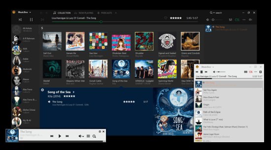 MusicBee Music Player Software