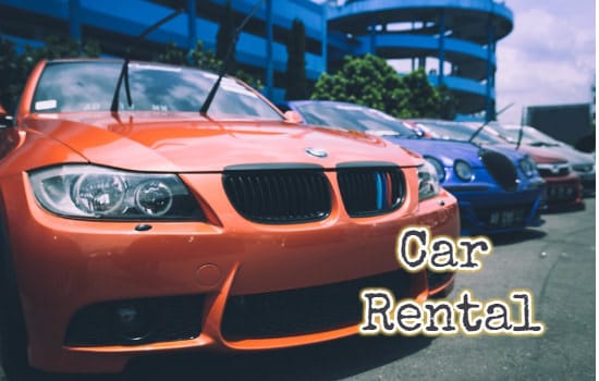 Car Rental Software